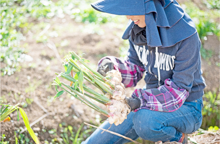 生産者さん